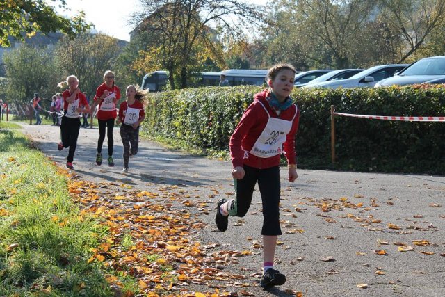 crosscountry_2015 13